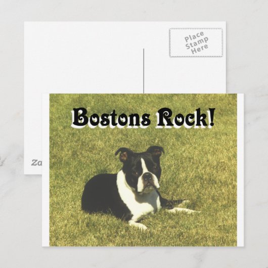 Boston Terrier:  Bostons Rock Briefkaart (Voorkant / Achterkant)
