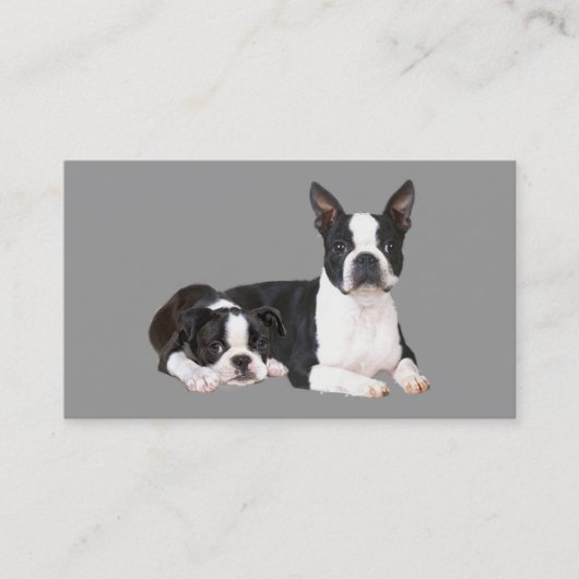 Boston Terrier Breeder Visitekaartje (Voorkant)