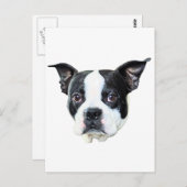 Boston Terrier Briefkaart (Voorkant / Achterkant)