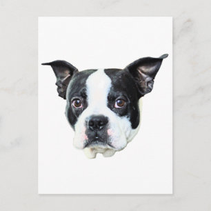 Boston Terrier Briefkaart