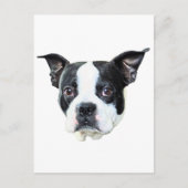 Boston Terrier Briefkaart (Voorkant)
