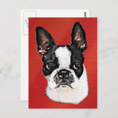 Boston Terrier Briefkaart (Voorkant / Achterkant)