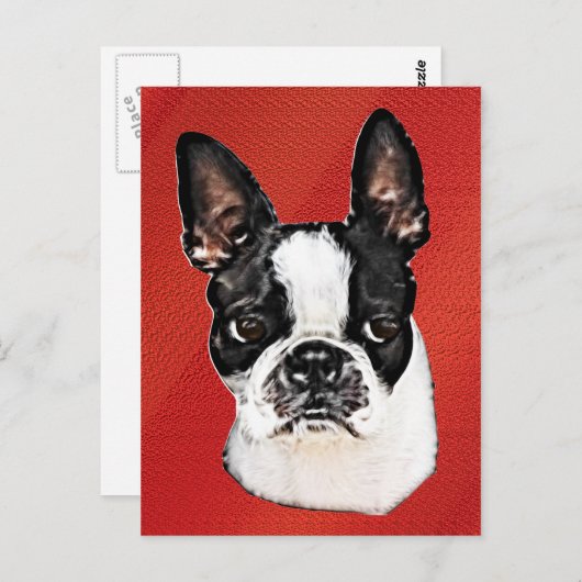Boston Terrier Briefkaart (Voorkant / Achterkant)