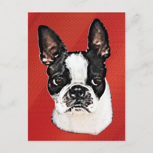 Boston Terrier Briefkaart (Voorkant)