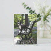 Boston Terrier Briefkaart (Staand voorkant)