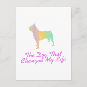 Boston Terrier Briefkaart
