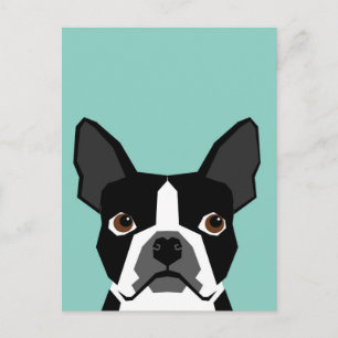 Boston Terrier Briefkaart