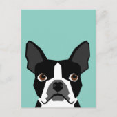 Boston Terrier Briefkaart (Voorkant)