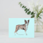 Boston Terrier Briefkaart (Staand voorkant)