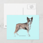 Boston Terrier Briefkaart (Voorkant / Achterkant)