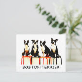 BOSTON TERRIER BRIEFKAART (Staand voorkant)