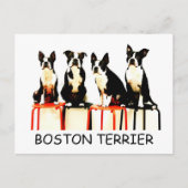 BOSTON TERRIER BRIEFKAART (Voorkant)