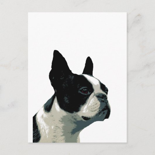 Boston Terrier Briefkaart (Voorkant)