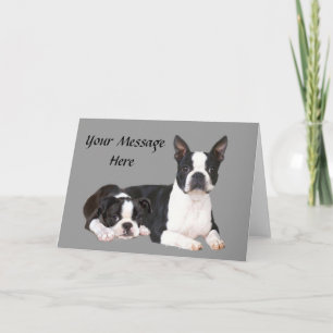 Boston Terrier Buddies Wenskaart Feestdagen Kaart