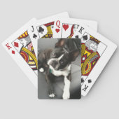 Boston Terrier Buddy Cards Pokerkaarten (Achterkant)