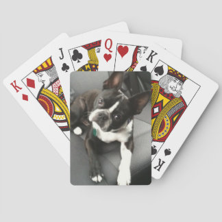 Boston Terrier Buddy Cards Pokerkaarten