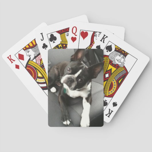 Boston Terrier Buddy Cards Pokerkaarten (Achterkant)