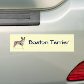 Boston Terrier Bumpersticker (Op auto)