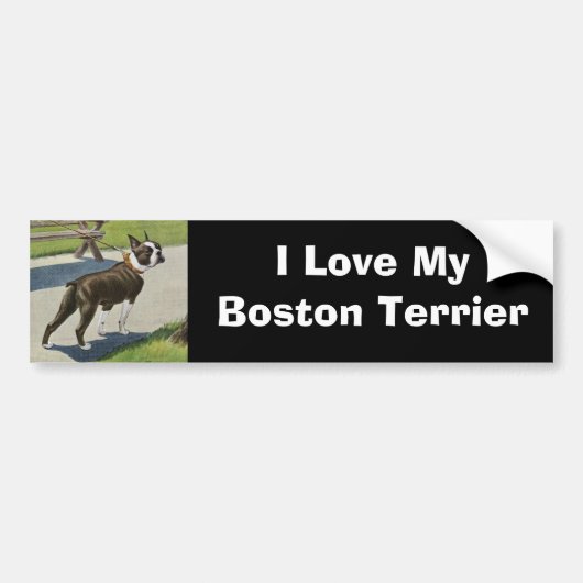 Boston Terrier  Bumpersticker (Voorkant)