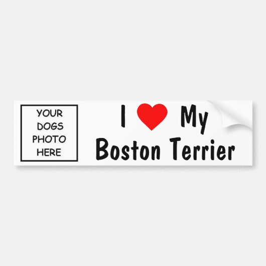 Boston Terrier Bumpersticker (Voorkant)