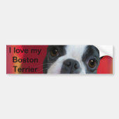 Boston Terrier Bumpersticker (Voorkant)
