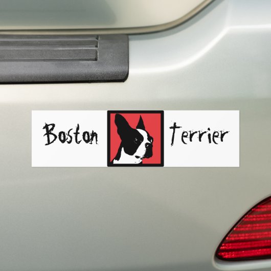 Boston Terrier Bumpersticker (Op auto)