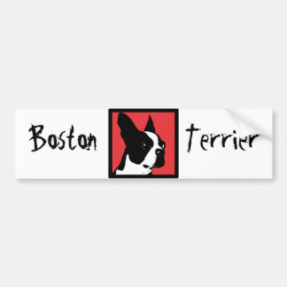Boston Terrier Bumpersticker