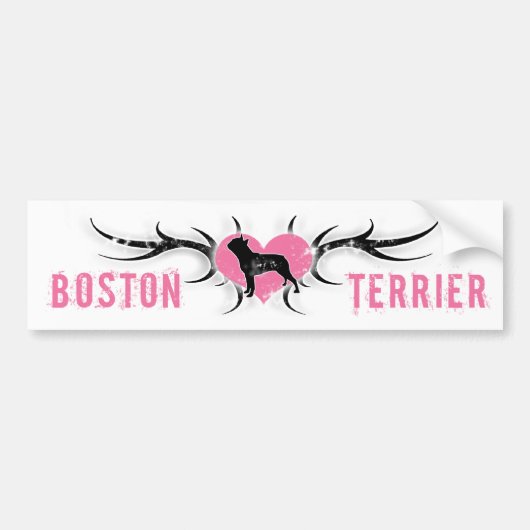 Boston Terrier Bumpersticker (Voorkant)