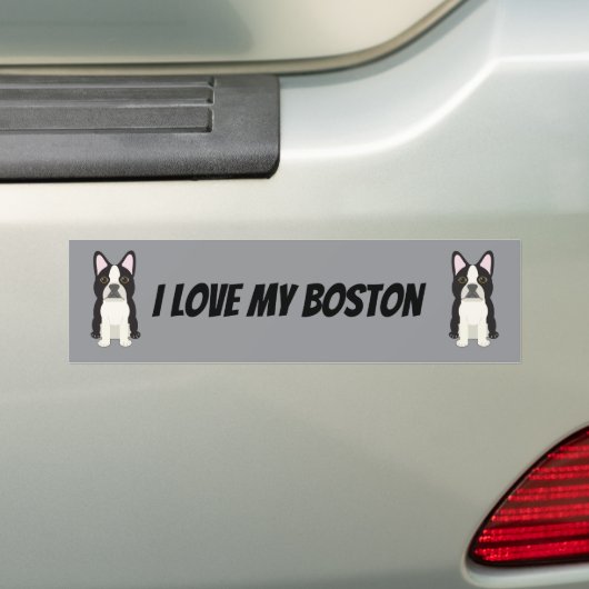 Boston Terrier Bumpersticker (Op auto)