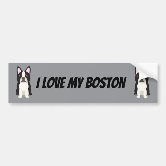 Boston Terrier Bumpersticker (Voorkant)