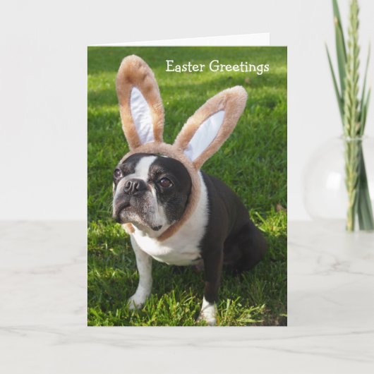 Boston Terrier Bunny Easter Wenskaart 2 Feestdagen Kaart (Voorkant)