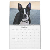 Boston Terrier Calendar 2009 Kalender (Mar 2027)