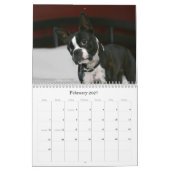 Boston Terrier Calendar 2009 Kalender (Feb 2027)