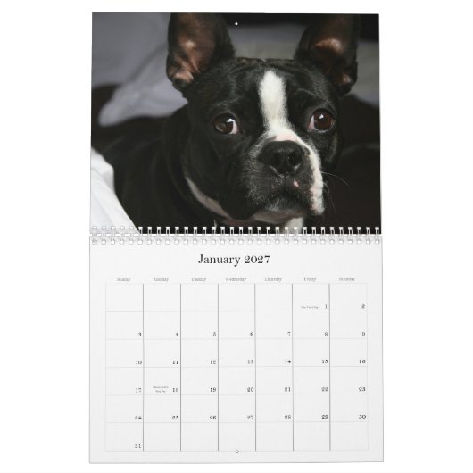 Boston Terrier Calendar 2009 Kalender (Jan 2027)