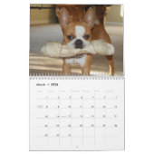Boston Terrier Calendar 2012 Kalender (Mar 2026)