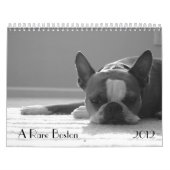 Boston Terrier Calendar 2012 Kalender (Hoes)