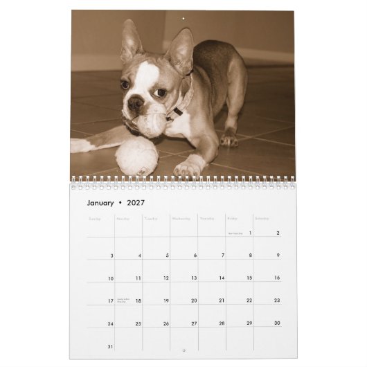 Boston Terrier Calendar 2012 Kalender (Jan 2027)