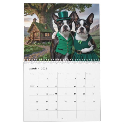 Boston Terrier Calendar Kalender (Mar 2026)