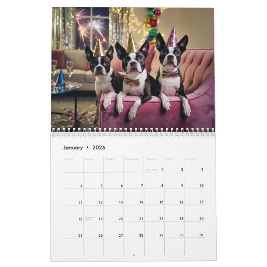 Boston Terrier Calendar Kalender (Jan 2026)