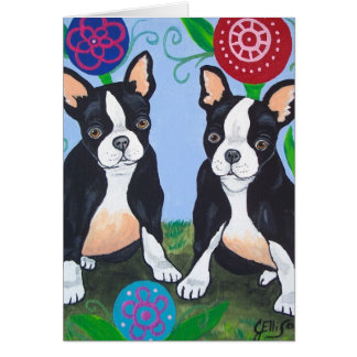 Boston Terrier Card