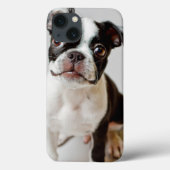 Boston Terrier Case-Mate iPhone Case (Achterkant)