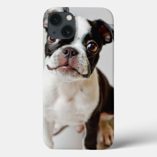Boston Terrier Case-Mate iPhone Case (Achterkant)