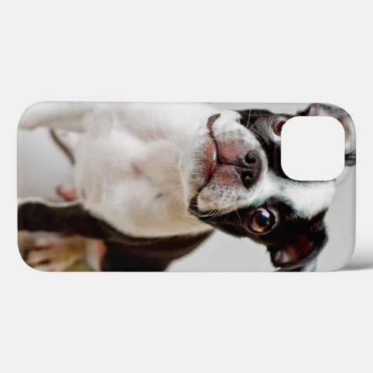 Boston Terrier Case-Mate iPhone Case (Achterkant (horizontaal))