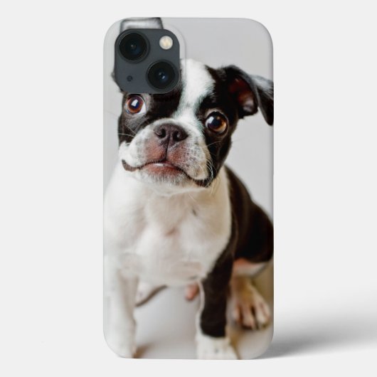 Boston Terrier Case-Mate iPhone Case (Achterkant)