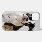 Boston Terrier Case-Mate iPhone Case (Achterkant (horizontaal))