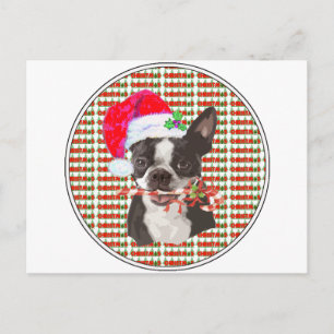 Boston Terrier Christmas Feestdagenkaart