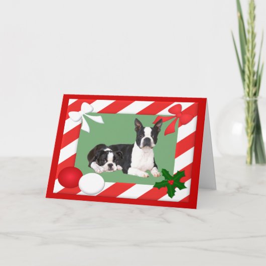 Boston Terrier Christmas Kaart Lijst (Voorkant)