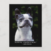 Boston Terrier Color Quote Briefkaart (Voorkant)