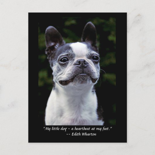 Boston Terrier Color Quote Briefkaart (Voorkant)