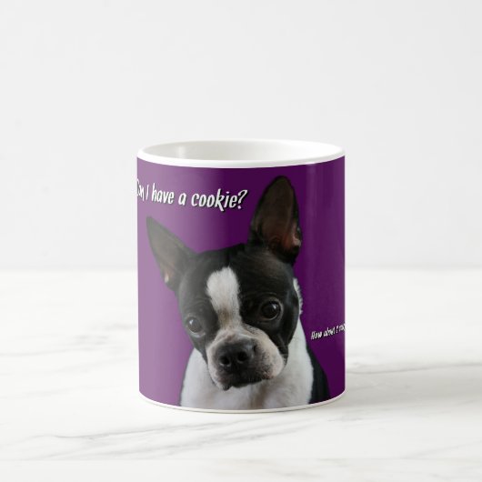 Boston Terrier: Cookie alsjeblieft? Koffiemok (Center)